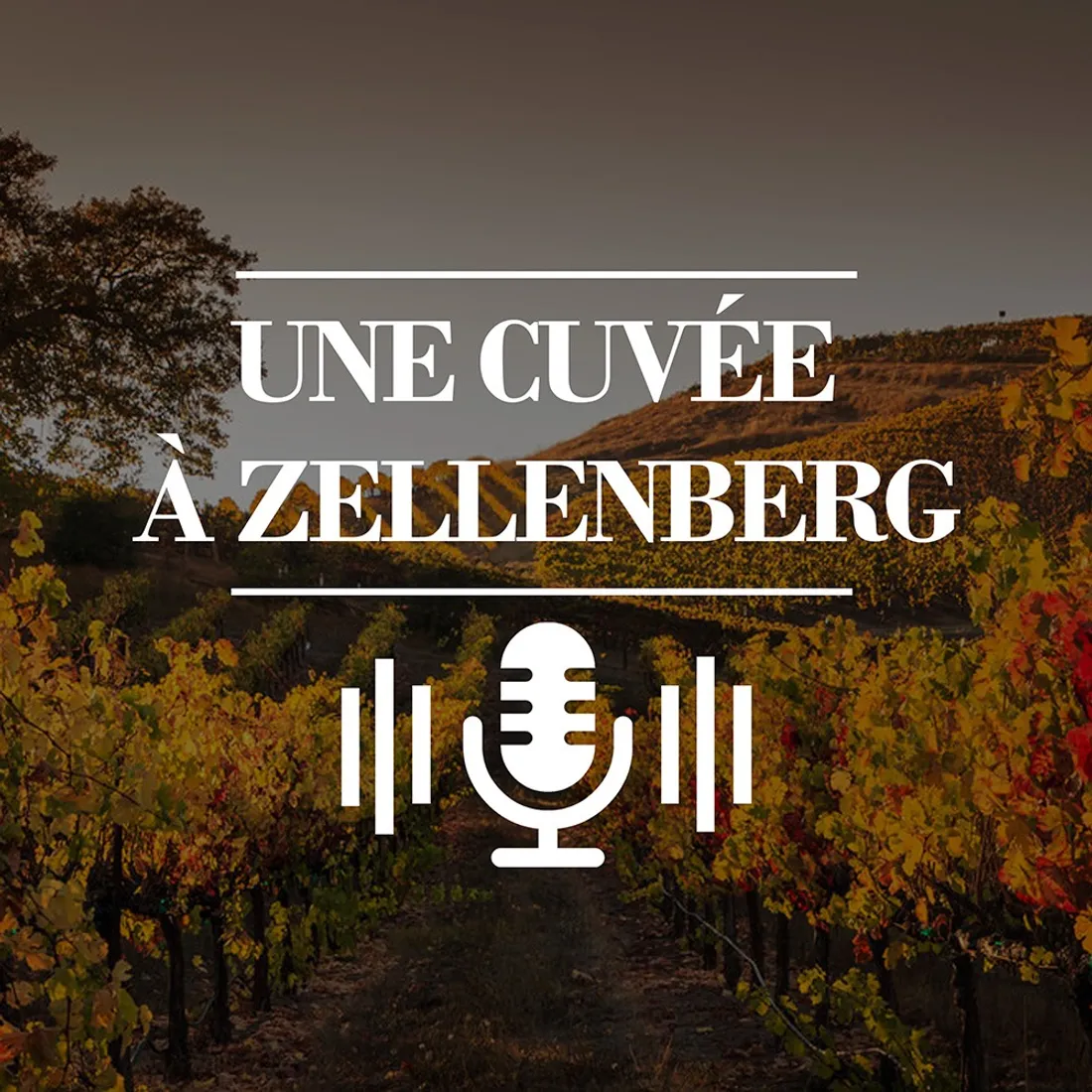 Une cuvée à Zellenberg - EP4 - L'automne