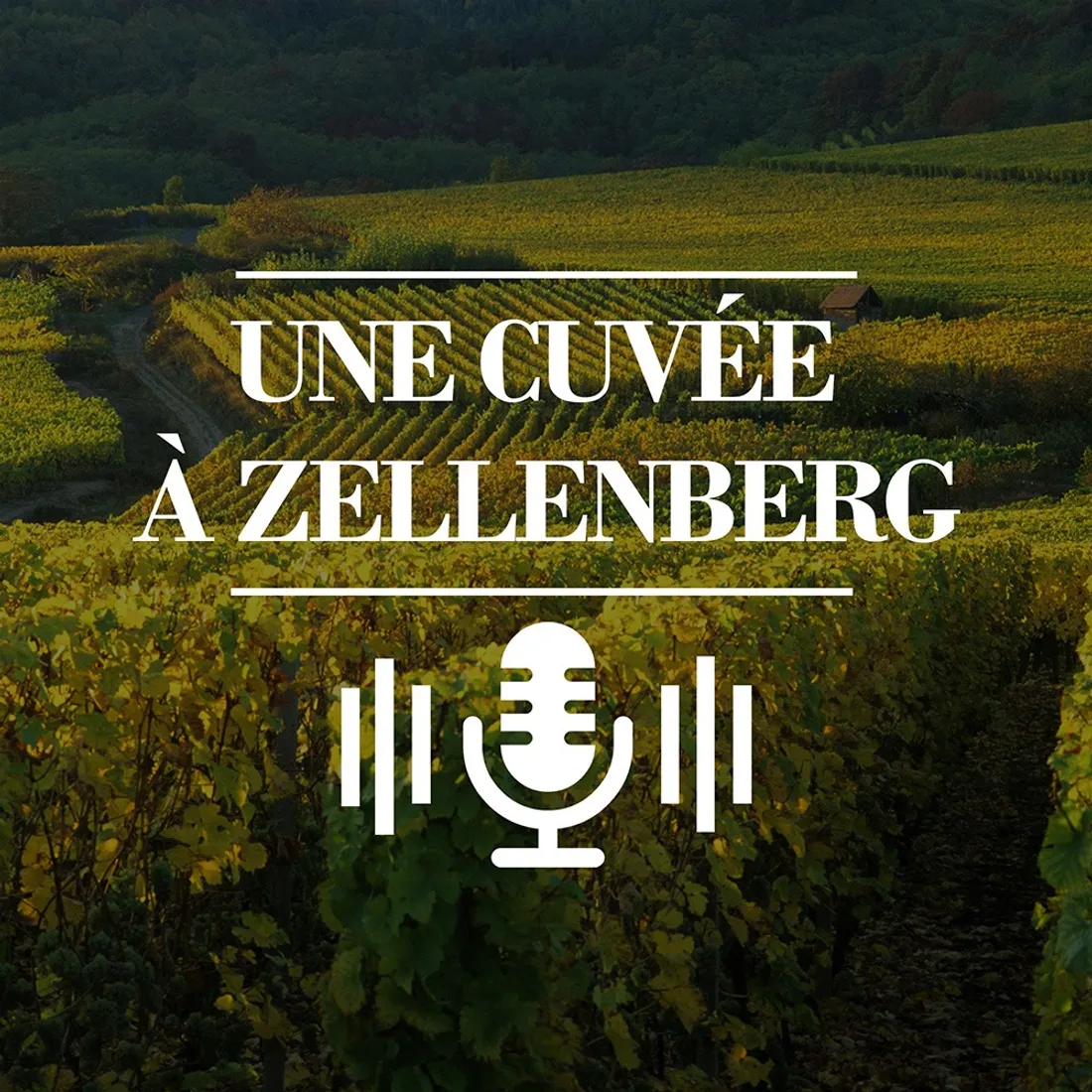 Une Cuvée à Zellenberg - Ep3 - L'été