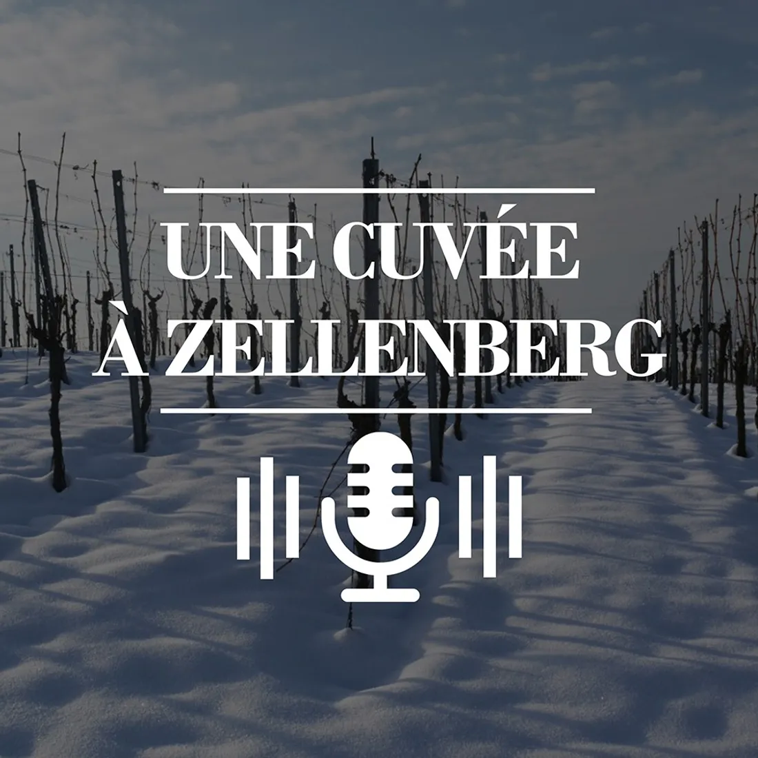Une cuvée à Zellenberg - EP1 - L'hiver