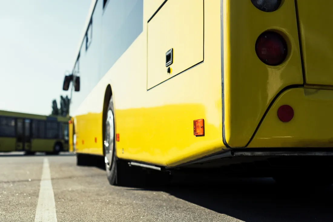 bus
