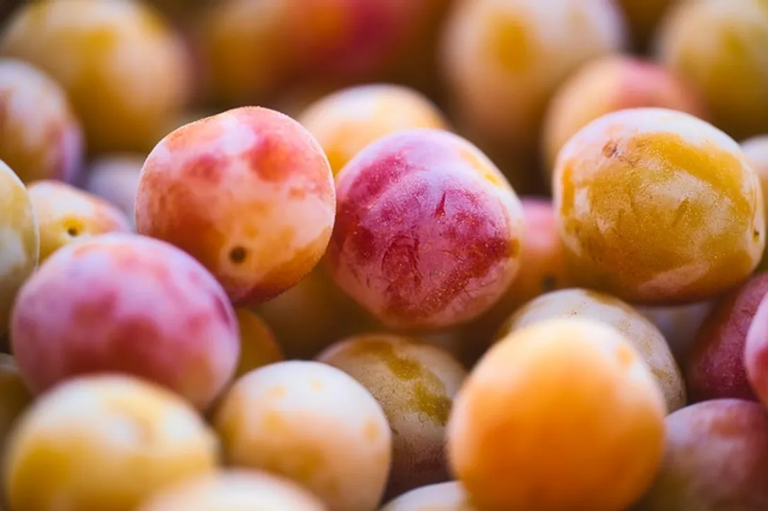 mirabelles
