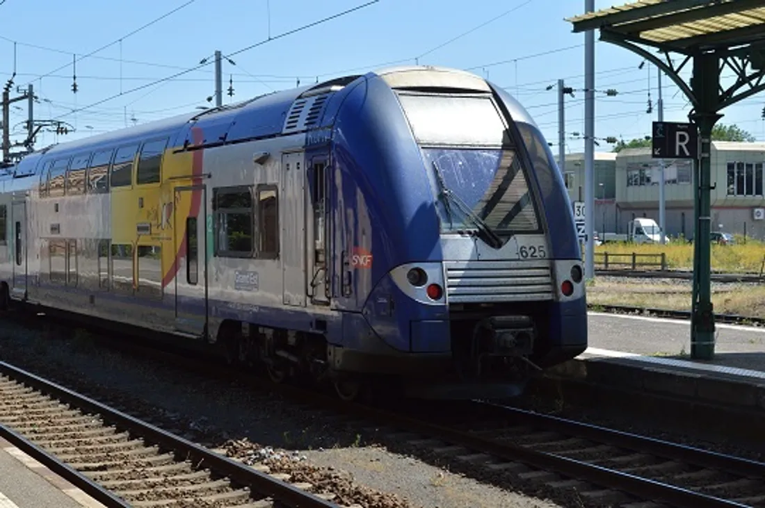 TER