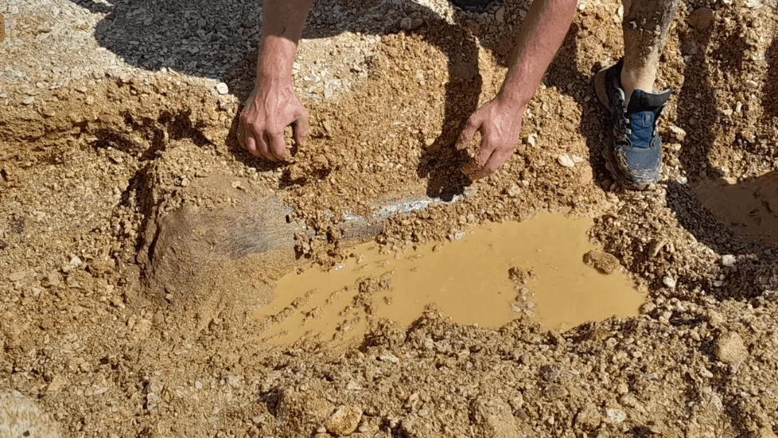 Os de dinosaures géants