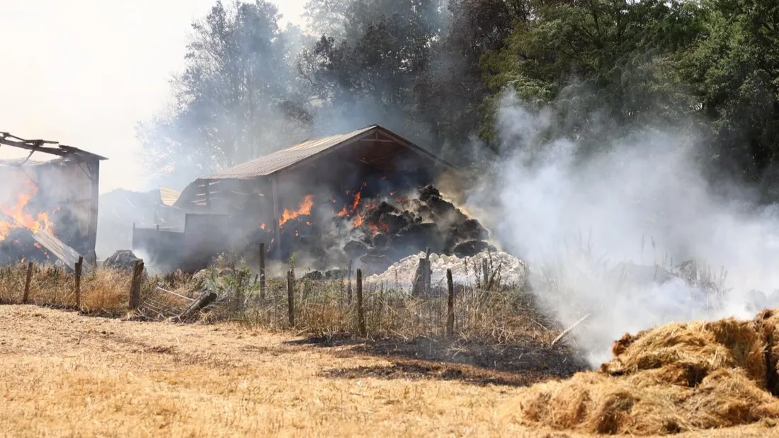 incendie vienne
