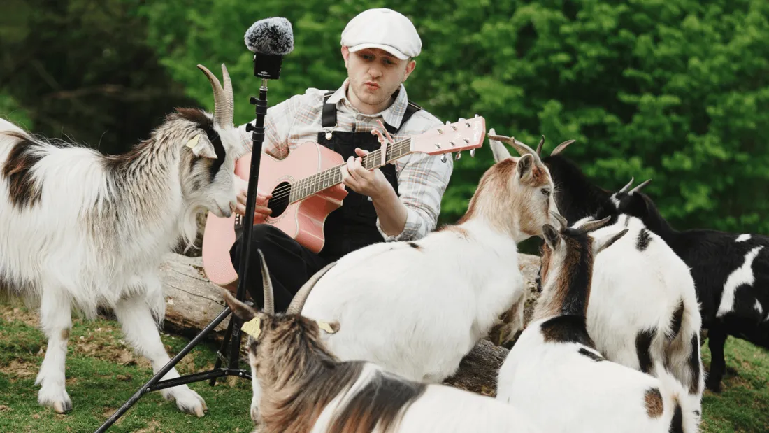 Etude scientifique musique animaux Parc de Branféré