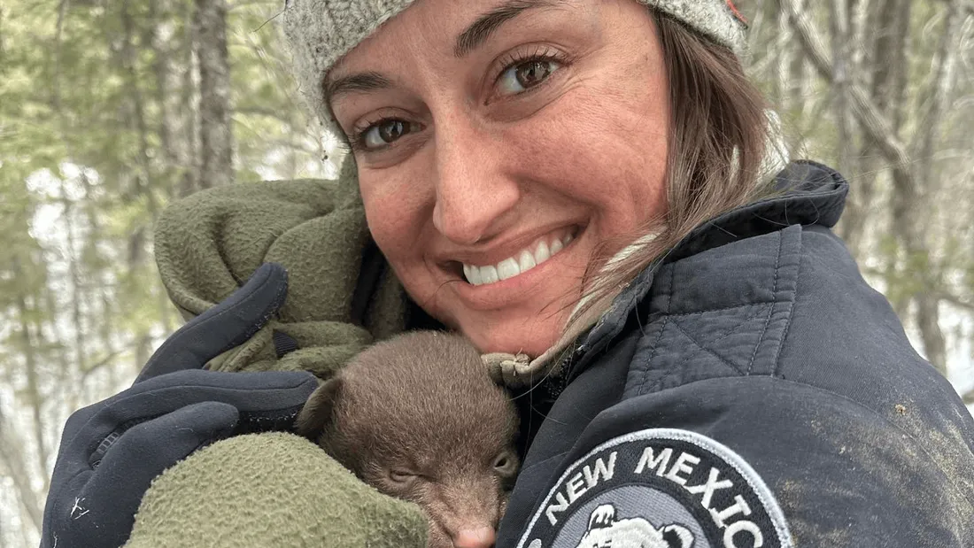 La fédération de chasse et pêche de l'État du Nouveau-Mexique recherche des "câlineurs d'ours"