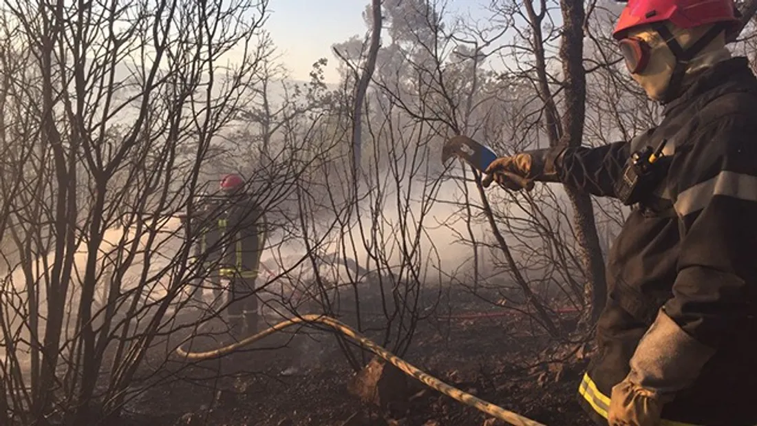 Image d'illustration. Intervention des pompiers sur un feu de végétation.
