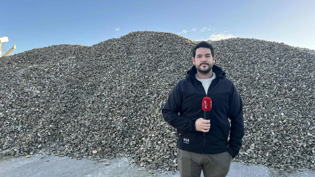Alexandre Didelon, directeur général d’Alegina, au cœur de l’usine du Poiré-sur-Vie.