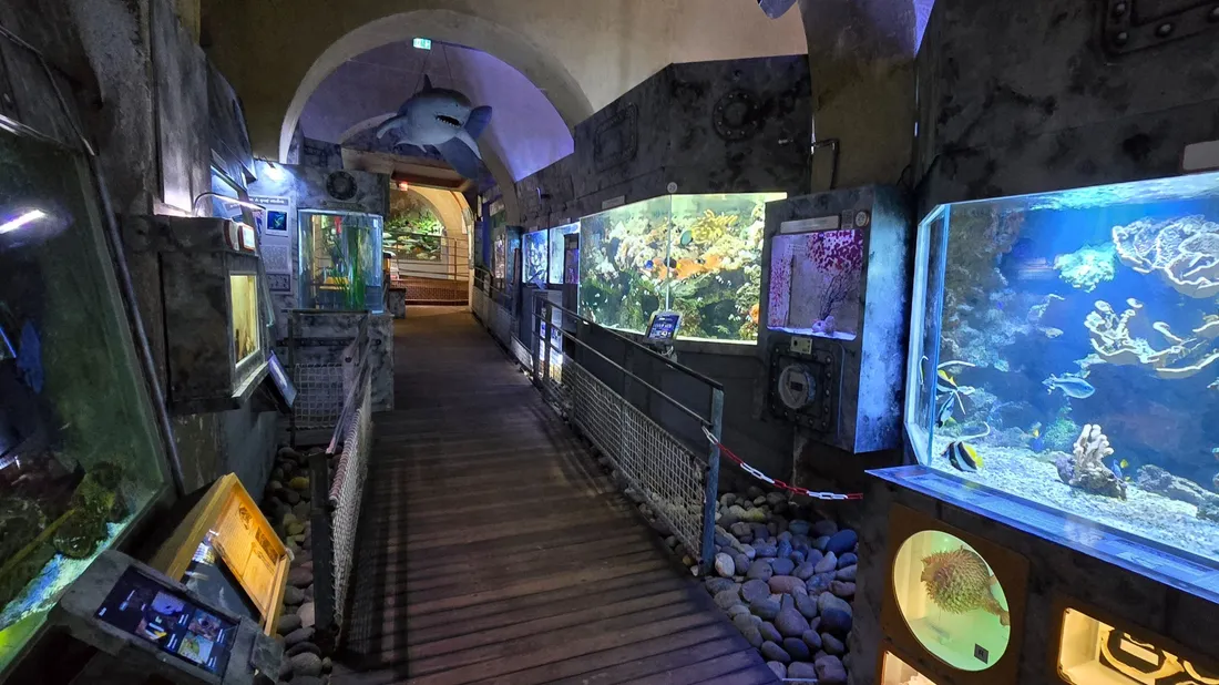 L'Aquarium Refuge de Limoges
