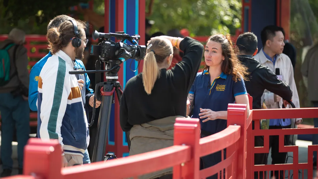 Ouverture de l'espace des singes dorés ZooParc de Beauval