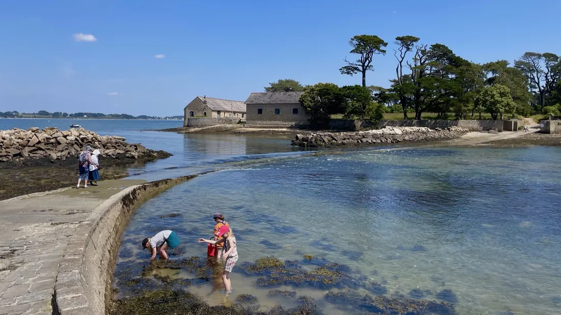 Le Golfe du Morbihan reste l'une des destinations préférées des vacanciers en Bretagne 