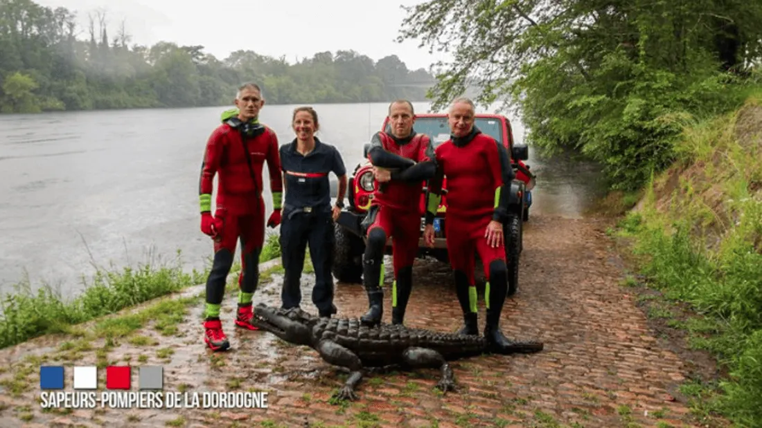 Les sapeurs-pompiers sauvent un crocodile ... factice ! 