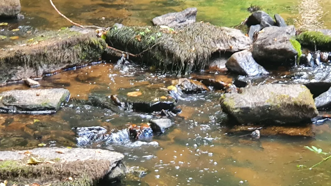 Le niveau bas de la rivière Creuse