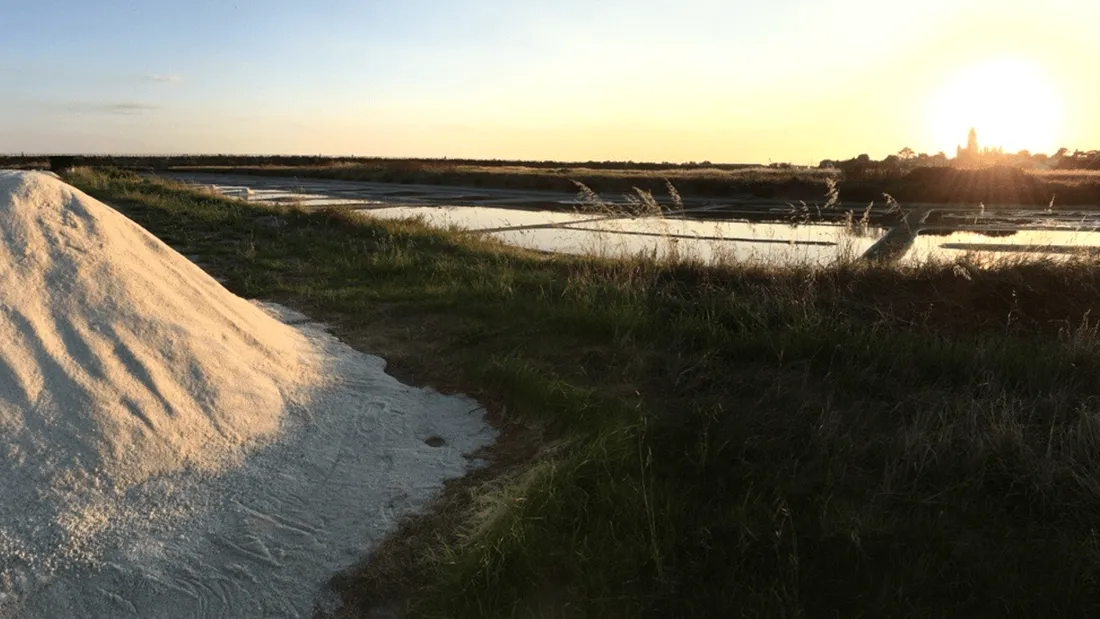 Marais salants - Noirmoutier