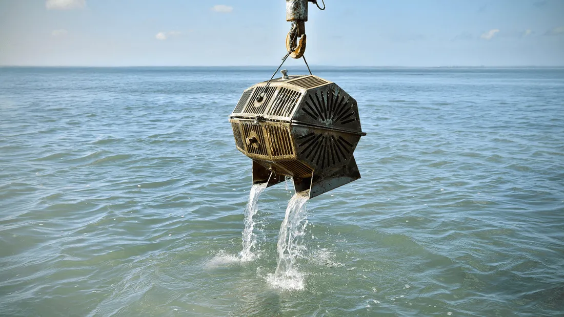 Cognac "sous les mers"