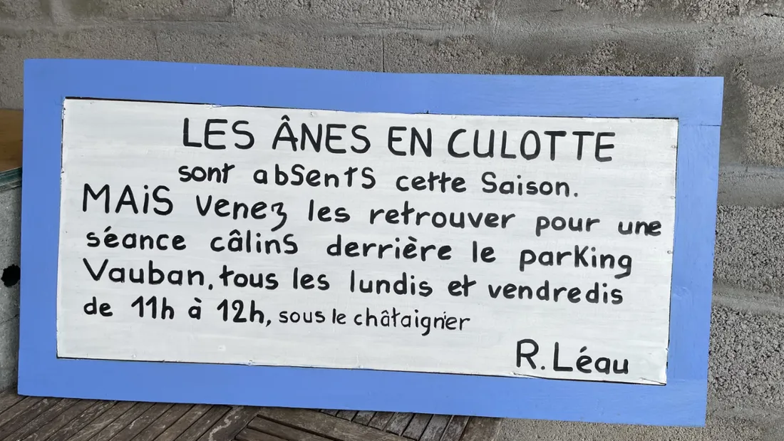 ânes en culotte
