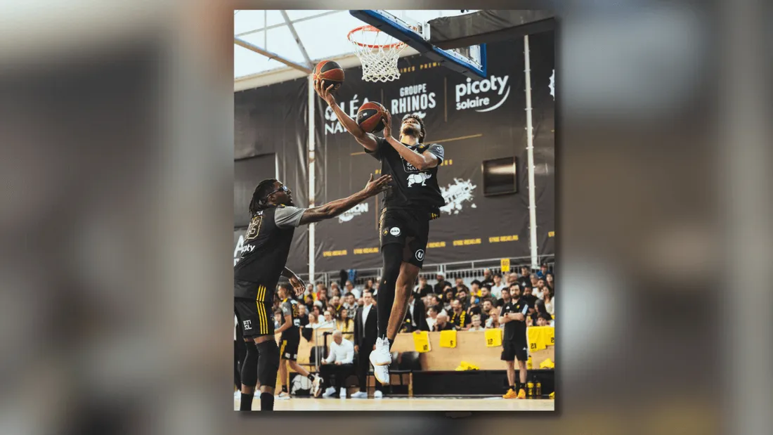 Stade Rochelais Basket