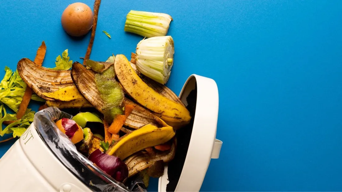 gaspillage alimentaire 