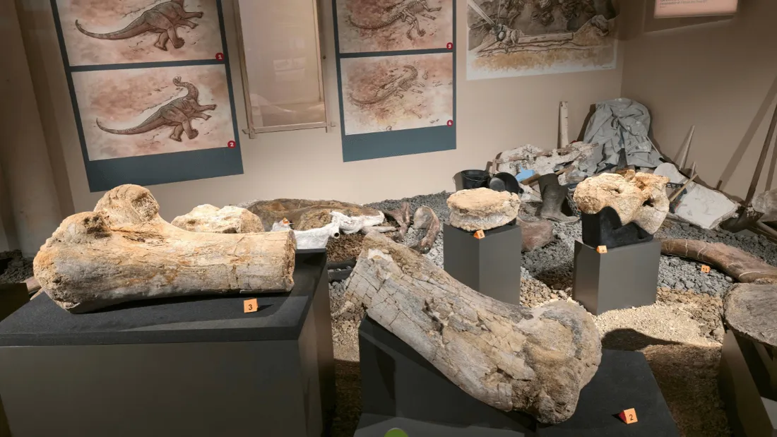 musée angoulême