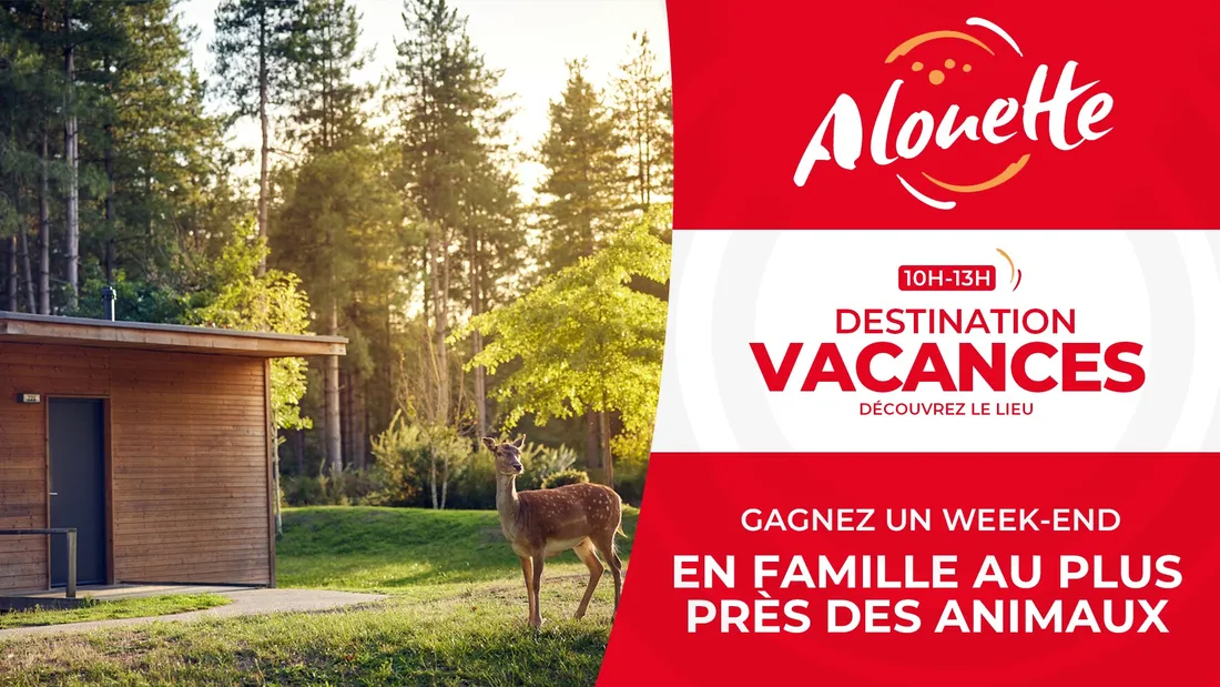 séjour famille forêt