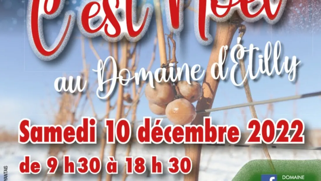 C'est Noël au Domaine d'Etilly