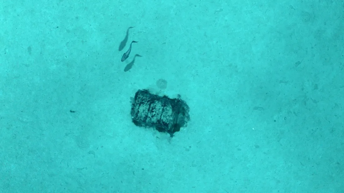 Un fut photographié par plus de 4 000 mètres de fond.