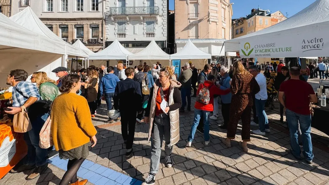 L'édition 2024 de Festimiel 