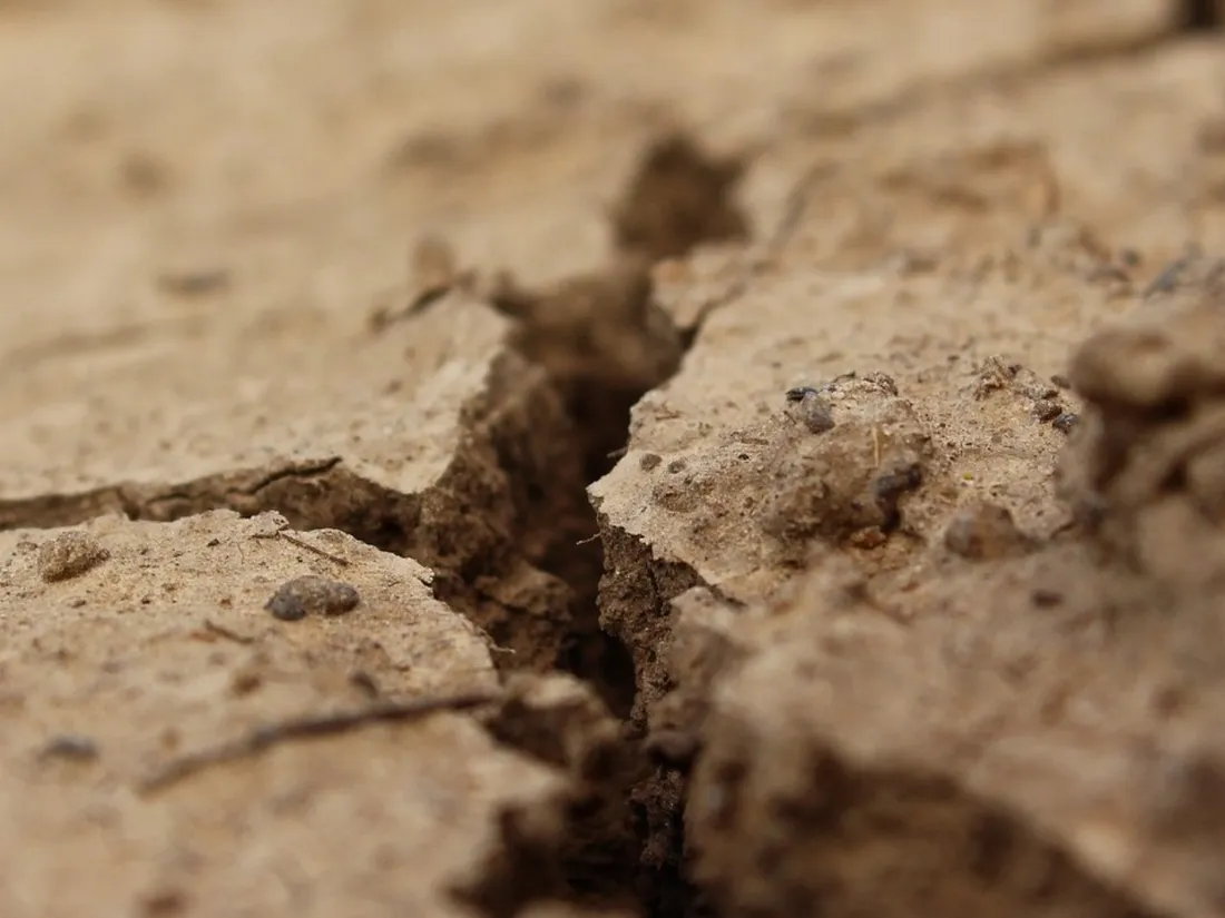 26 communes de Vendée pourront bénéficier des dispositifs d'indemnisation