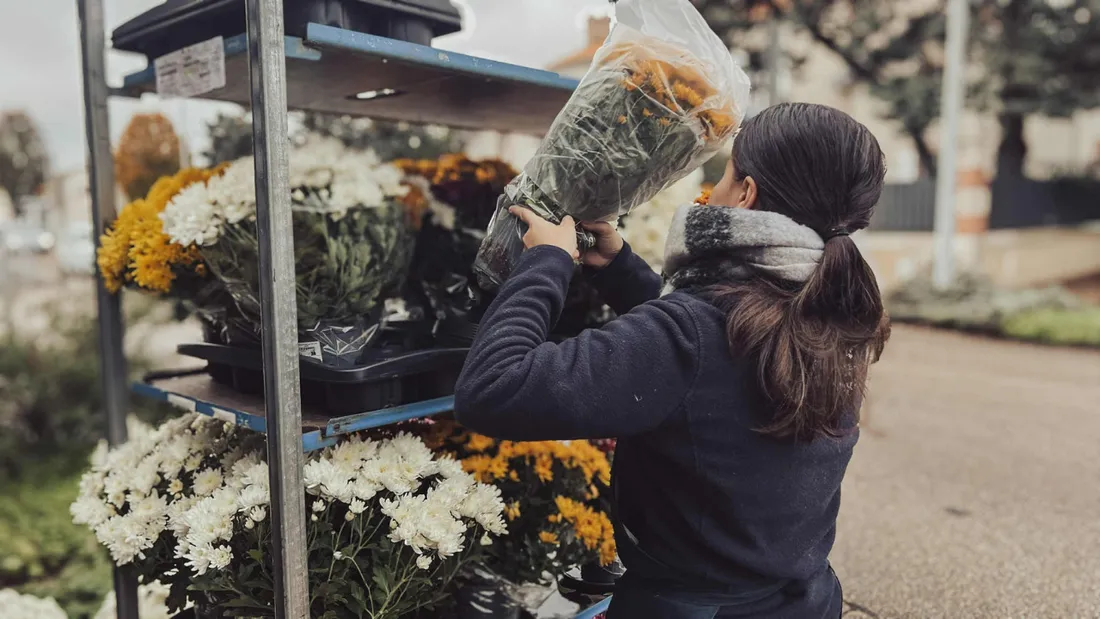 Une employée de Monceau Fleurs à La Roche-sur-Yon prépare les chrysanthèmes avant la Toussaint.