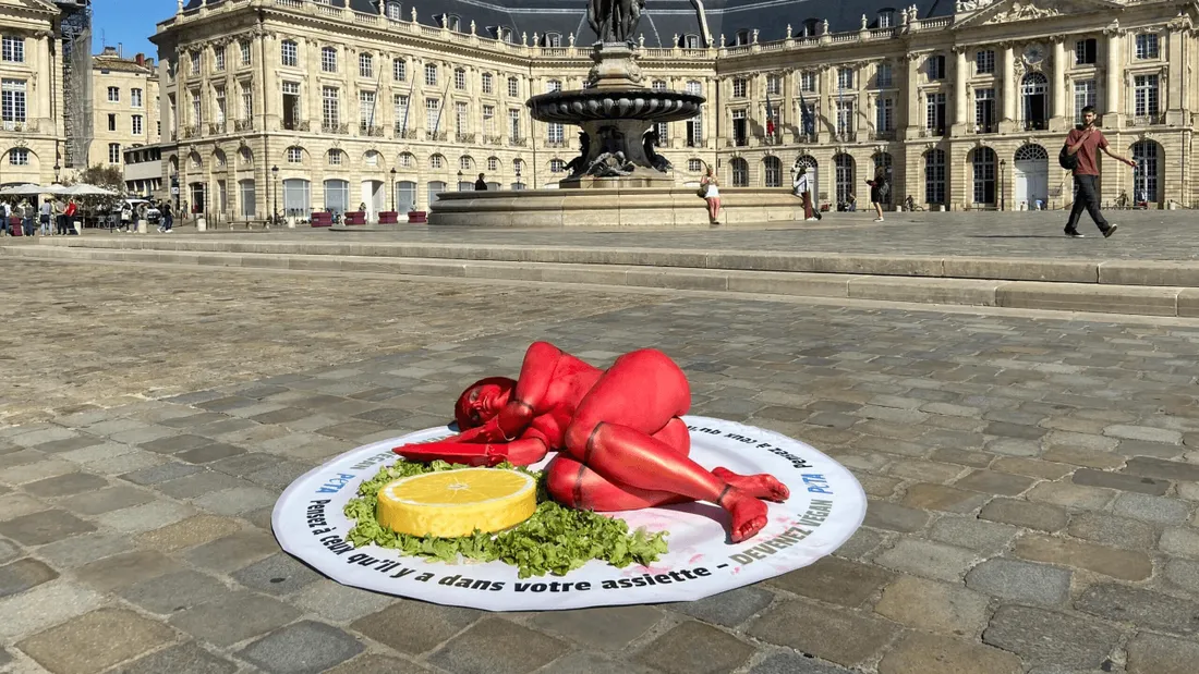 Une militante végane place de la Bourse à Bordeaux