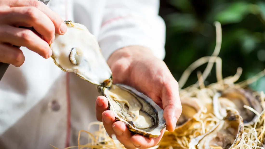 Un chef ouvre des huîtres fraîches dans un restaurant