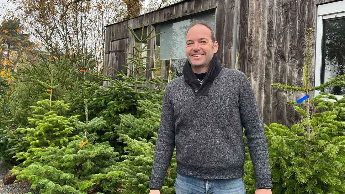 Olivier Debais, produit chaque année entre 200 et 400 sapins de Noël.