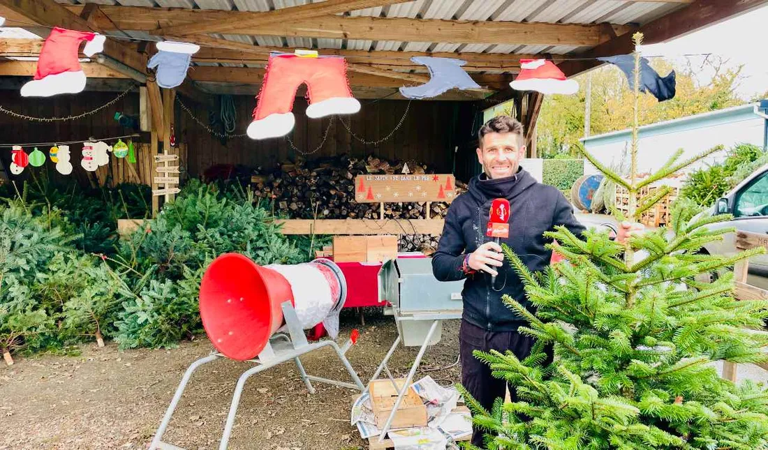 Émeric Émeillat, produit ses sapins à Pleyber-Christ dans le Finistère. 
