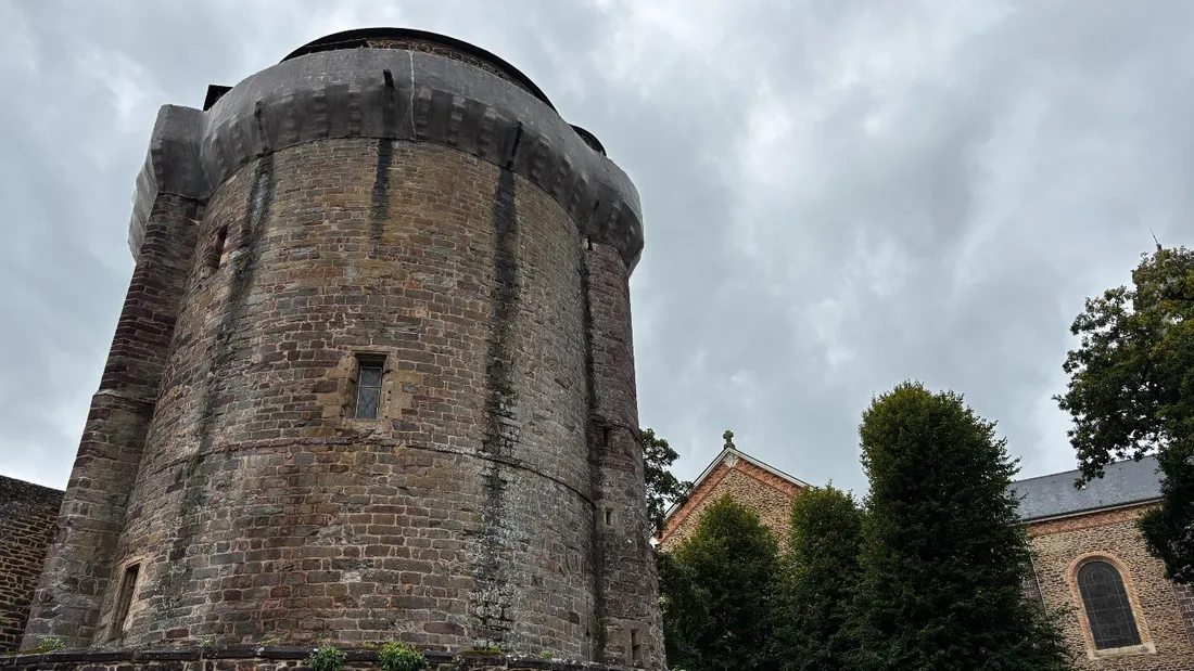 La Mission patrimoine, portée par Stéphane Bern, a jeté son dévolu sur la tour du Papegaut. 