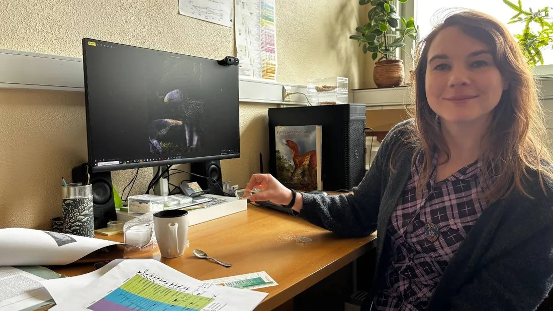 Ninon Robin, paléontologue rennaise, a participé à l'identification de ce dinosaure. 