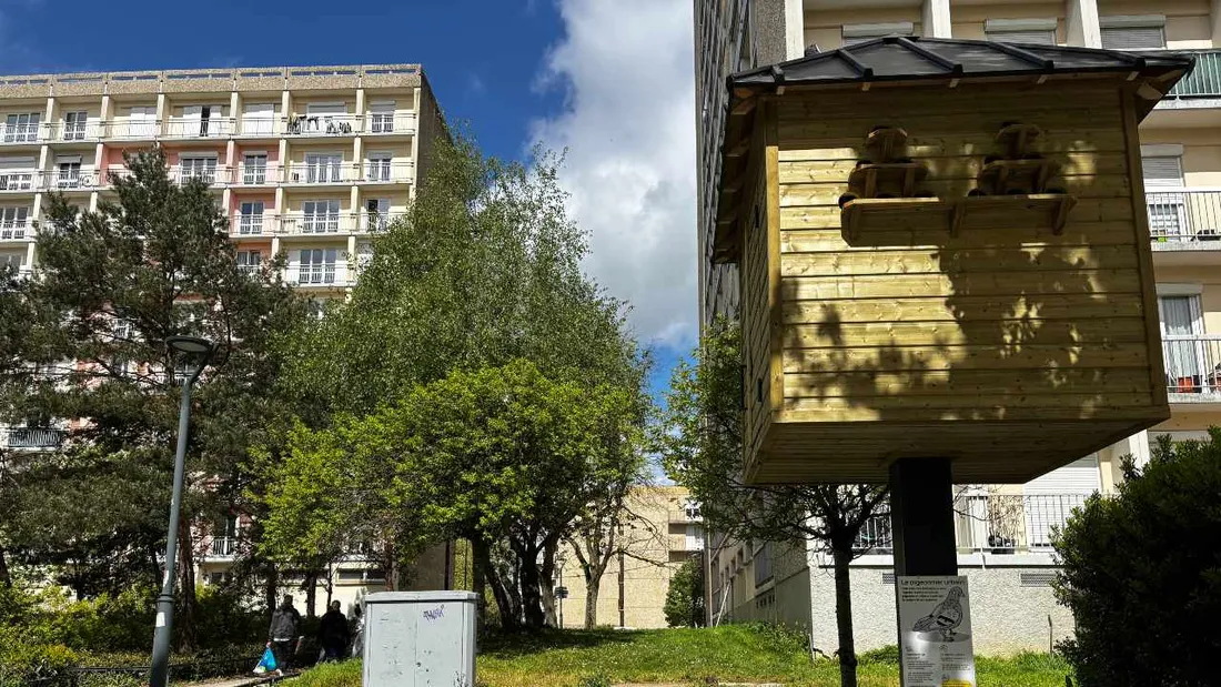 Cette grande tour en bois pourra accueillir jusqu'à 72 nids. 