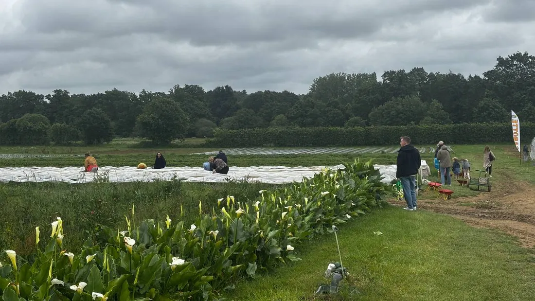 Avec le mauvais temps de début mai, il était compliqué de profiter des récoltes en plein air.