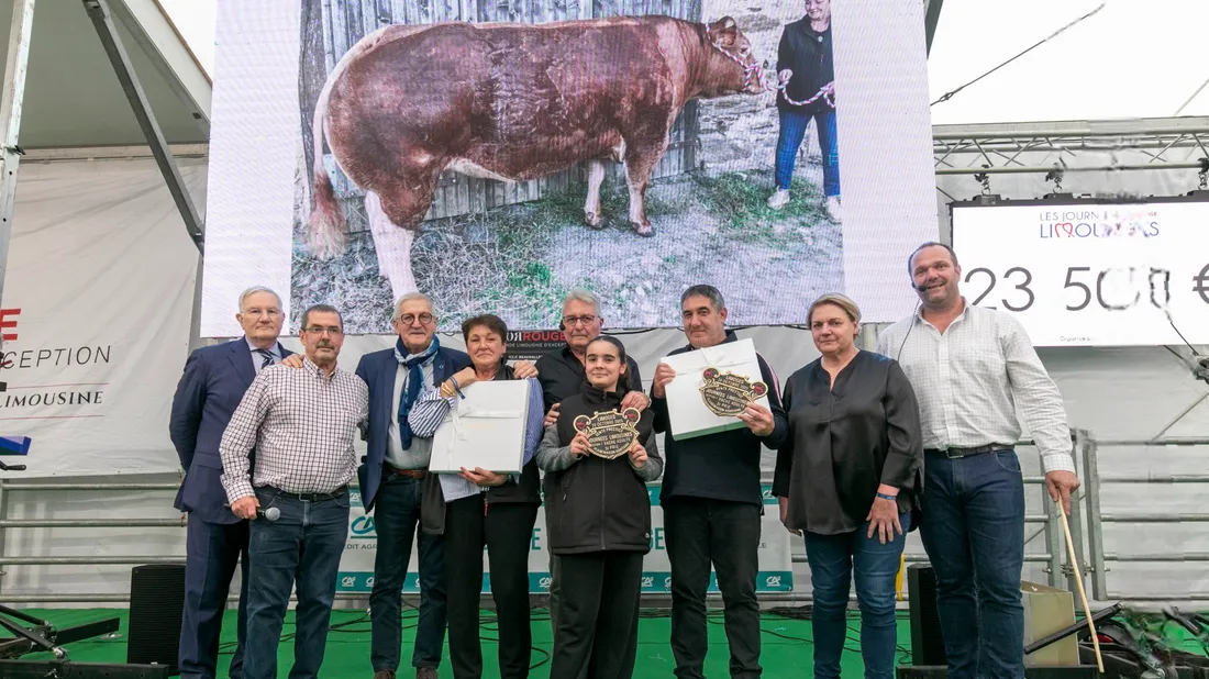 La vente s'est déroulée sans animaux grace à des écran géants