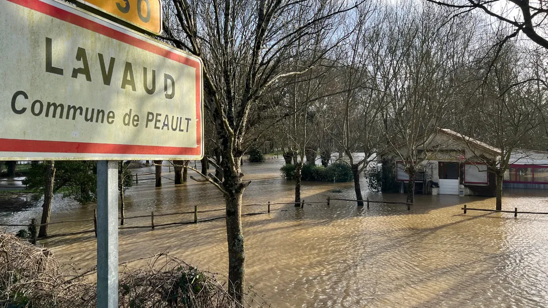 La Guinguette de L'Aubraie, janvier 2025 