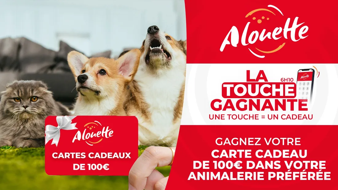 animalerie carte cadeau 2026