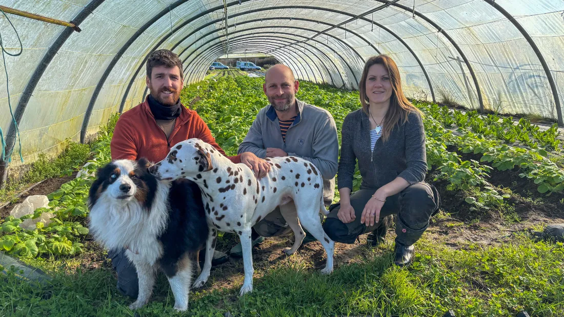 Lucie Picard, Boris Alain et Maximilien Bertrand, maraîchers au Jardin de la Chaume.