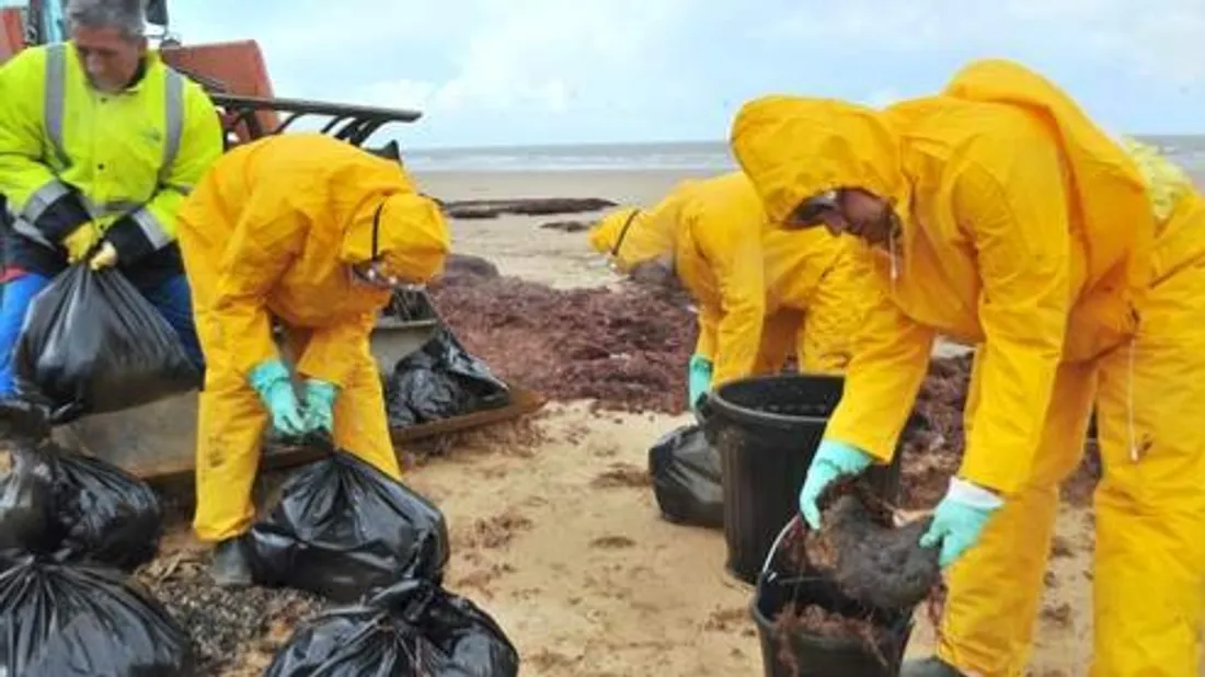 400 kilomètres de côtes avaient été souillées 