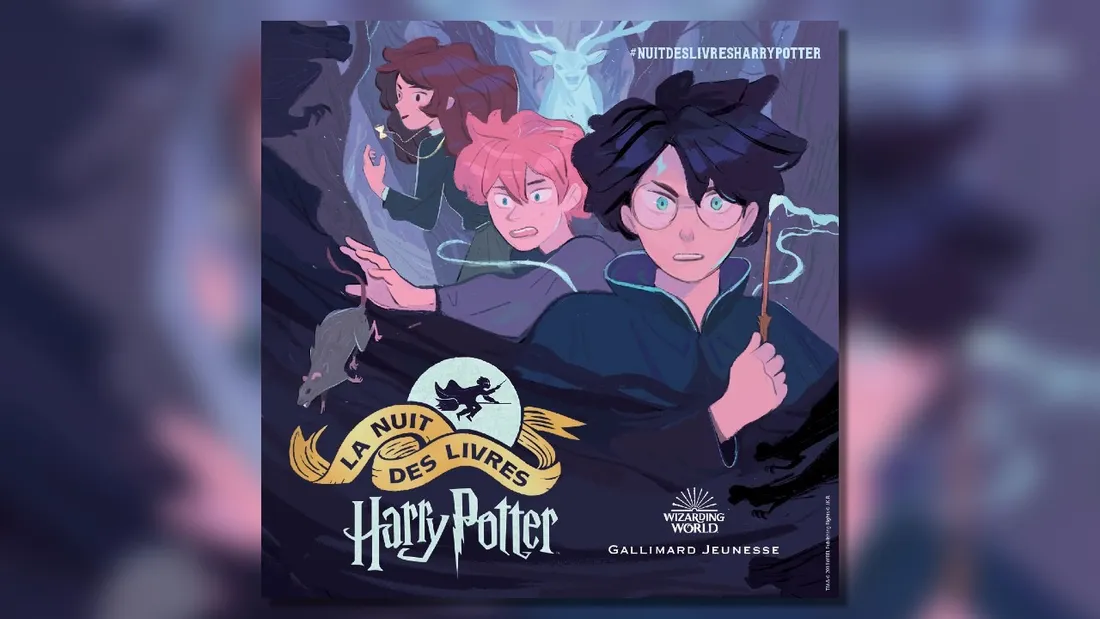 La Nuit du Livre Harry Potter