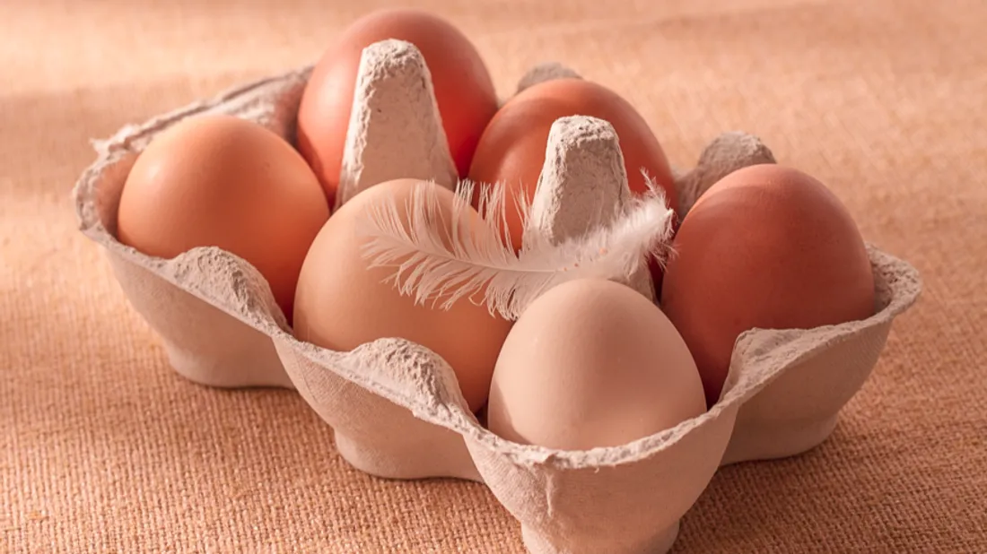 Les Français consomment de plus en plus d'oeufs chaque année