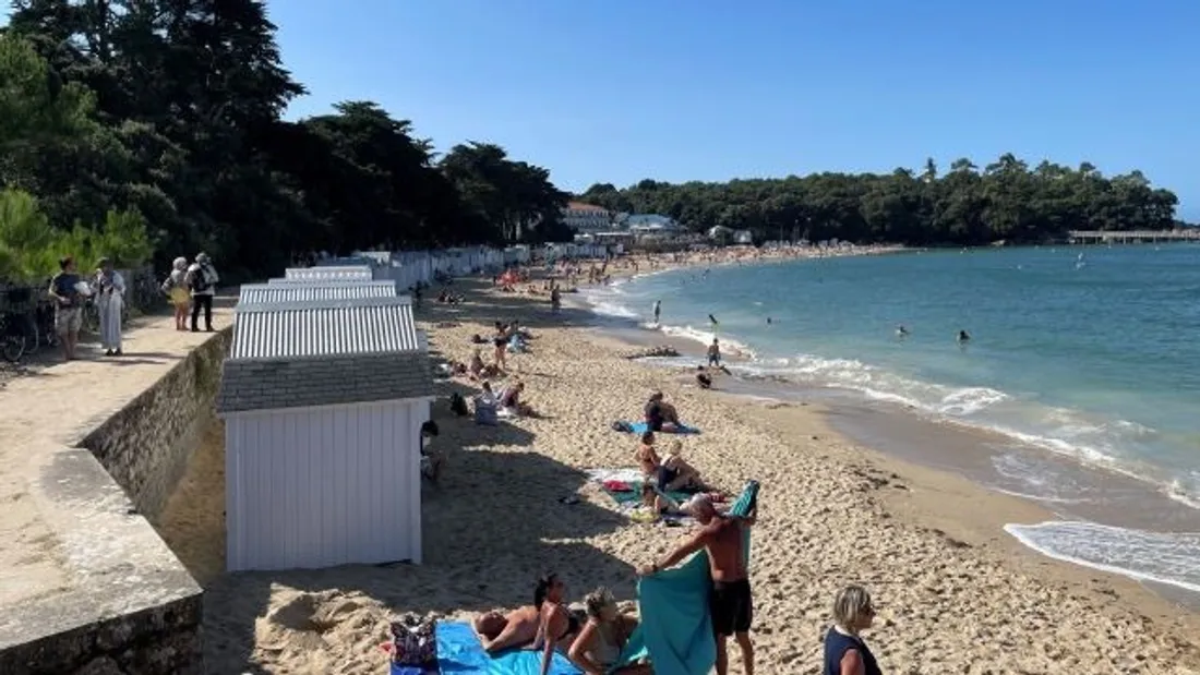 La plage préférée 