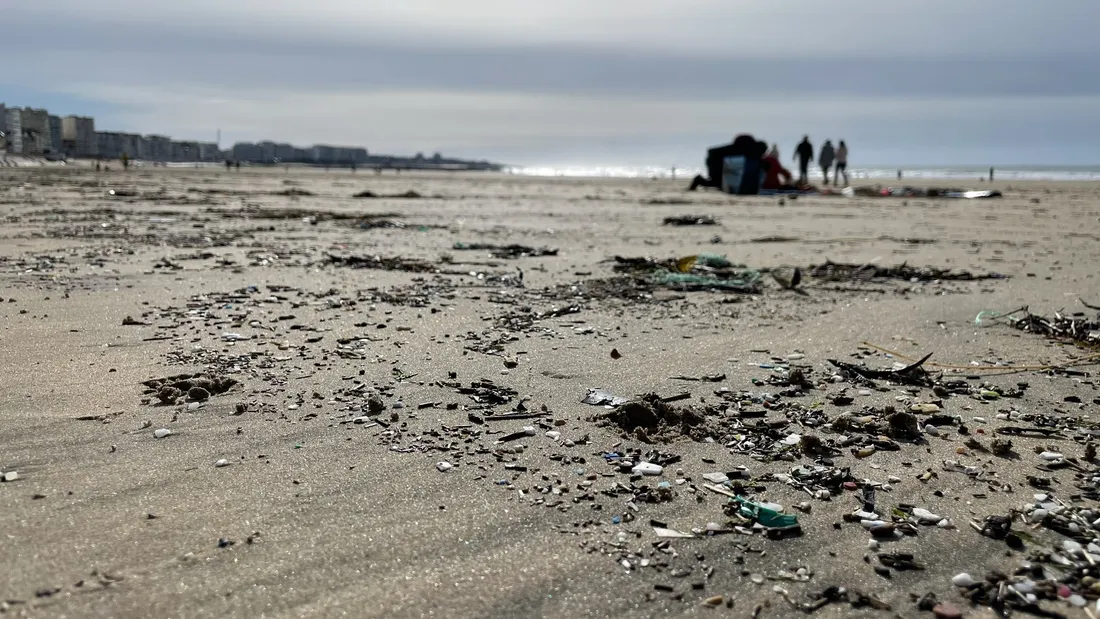 La "laisse de mer" se caractérise notamment par le dépôt de micro-plastiques sur les plages