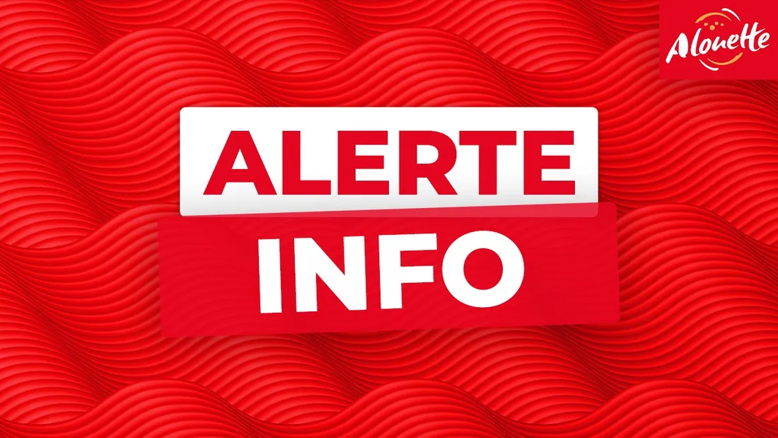 Alerte info Alouette