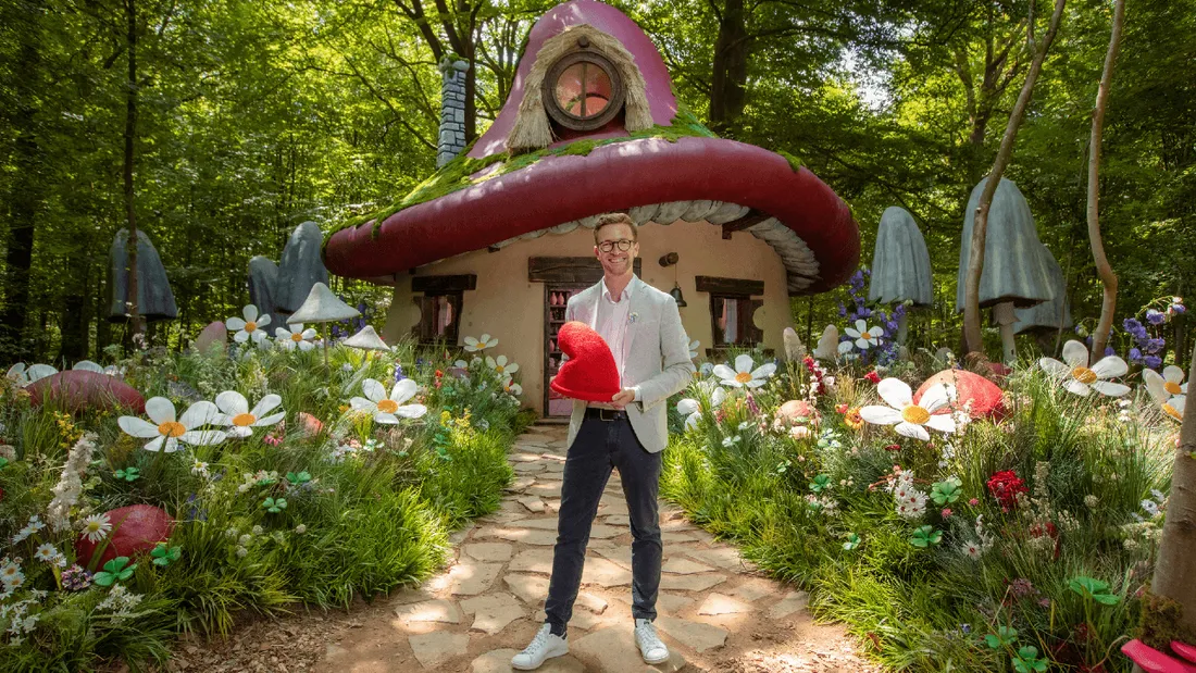 Maison Schtroumpf Airbnb