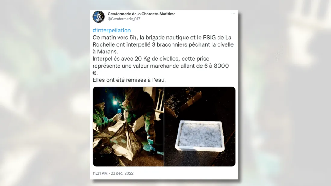 Pêche à la civelle