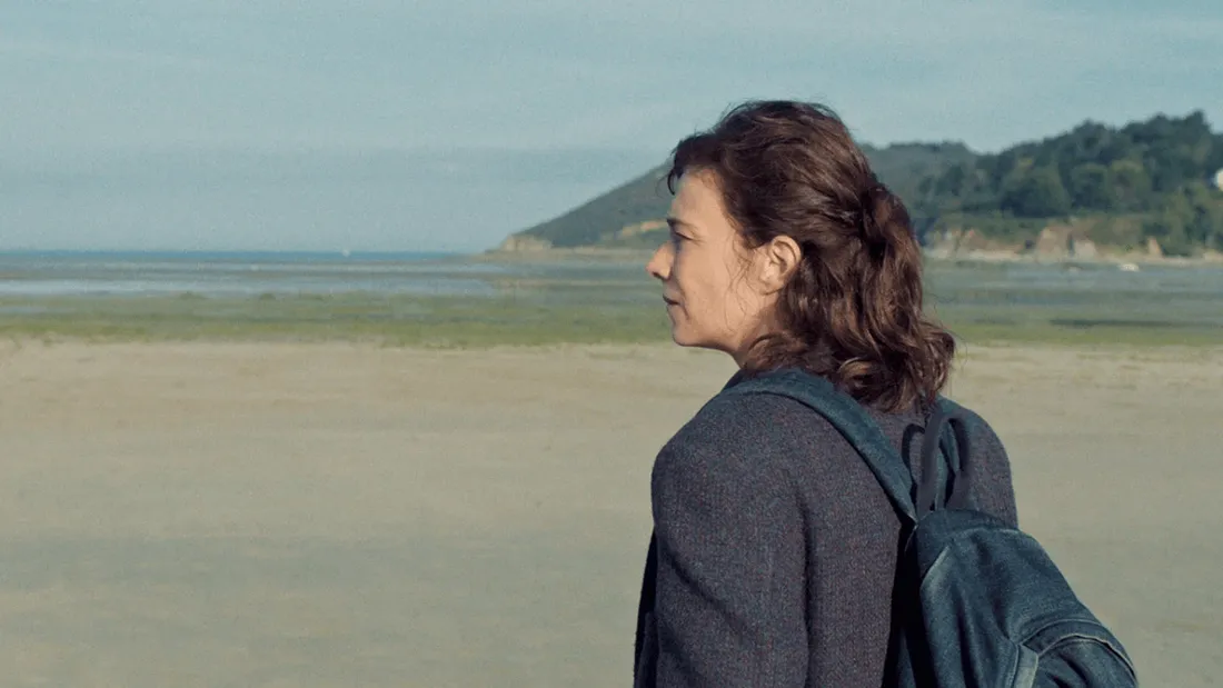 Les algues vertes de Bretagne au cœur d'un film